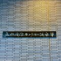 20250611_sight_01