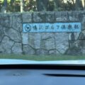 20250731_sight_01